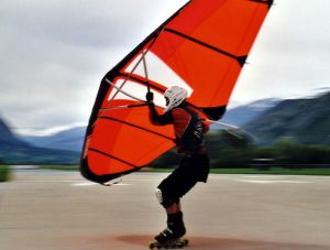 Rollerblades and a SkimBat