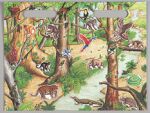 Rainforest Magnetic Playset