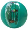 fish beach
                ball