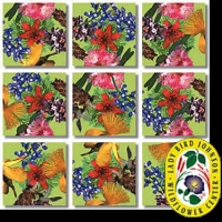 american native flowers scramble squares