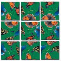butterflies scramble squares