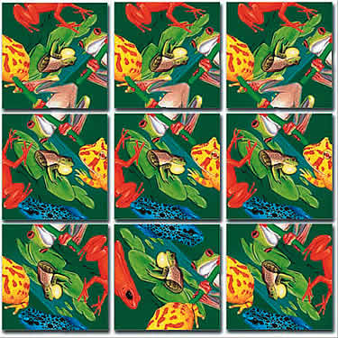 Frog Puzzle