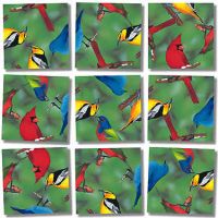 North American Birds scramble squares
